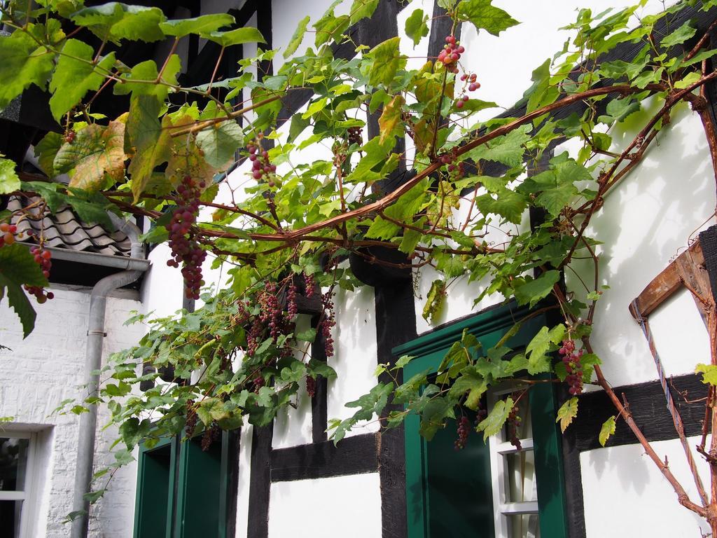 Falderhof كولونيا المظهر الخارجي الصورة
